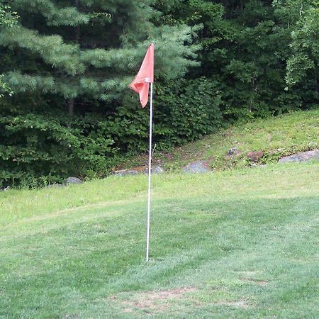 مبيت وإفطار Stoddard Hummingbird Hill المظهر الخارجي الصورة